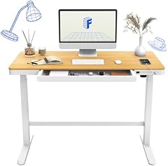 Flexispot elektrisch höhenverstellbarer Schreibtisch (Touch-Funktion, USB, Schublade, 120x60cm, Maple)