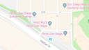 Google, Bug, Swastika