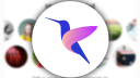 Microsoft, App, Nachrichten, Hummingbird