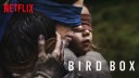 Film, Netflix, Bird Box