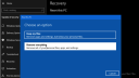 Microsoft, Windows 10, Build, 19H1, Windows 10 19H1, Wiederherstellung