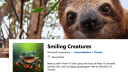 Microsoft, Store, Wallpaper, Desktop Hintergrund