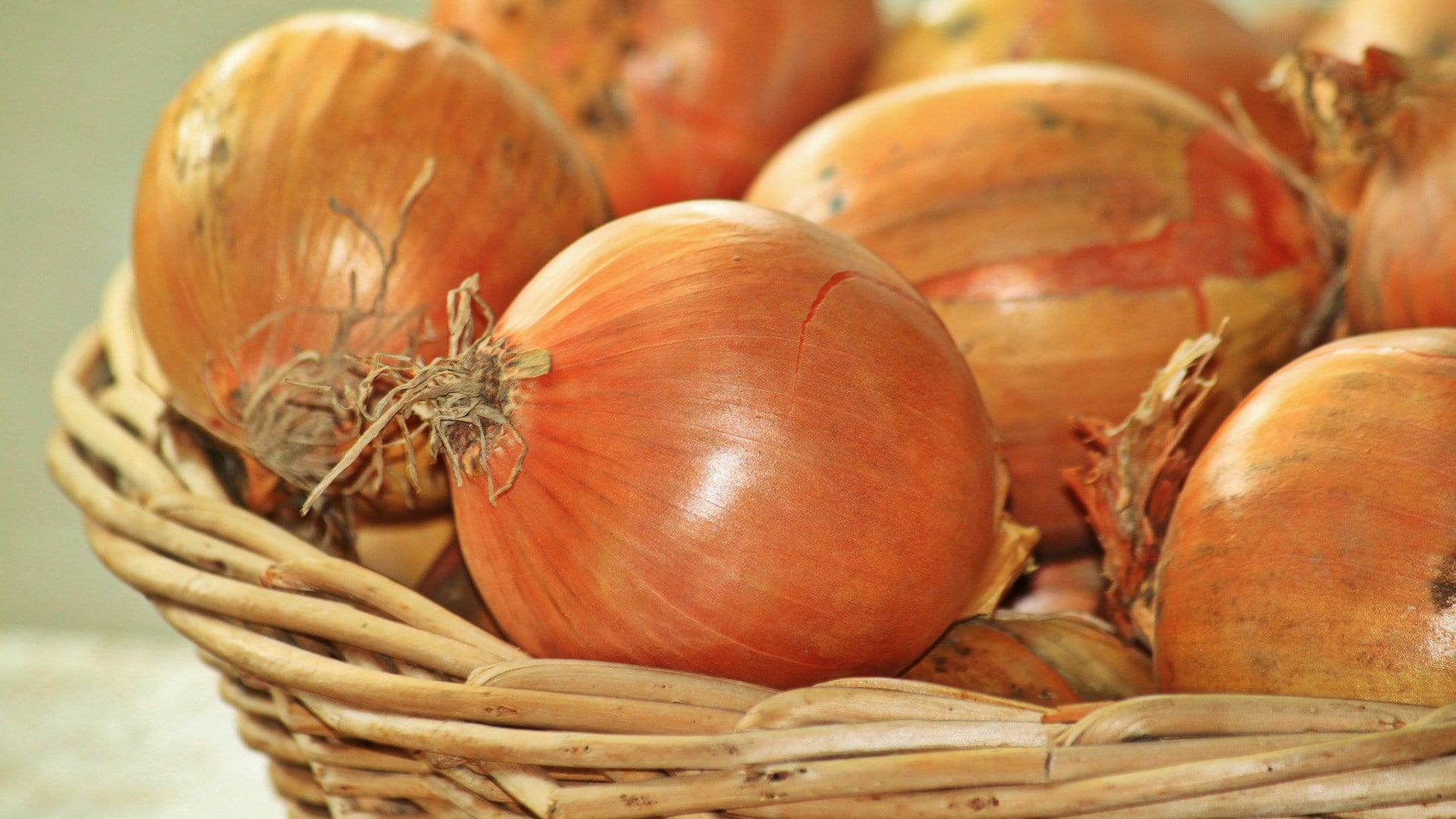 Gemüse, Zwiebel, Zwiebeln