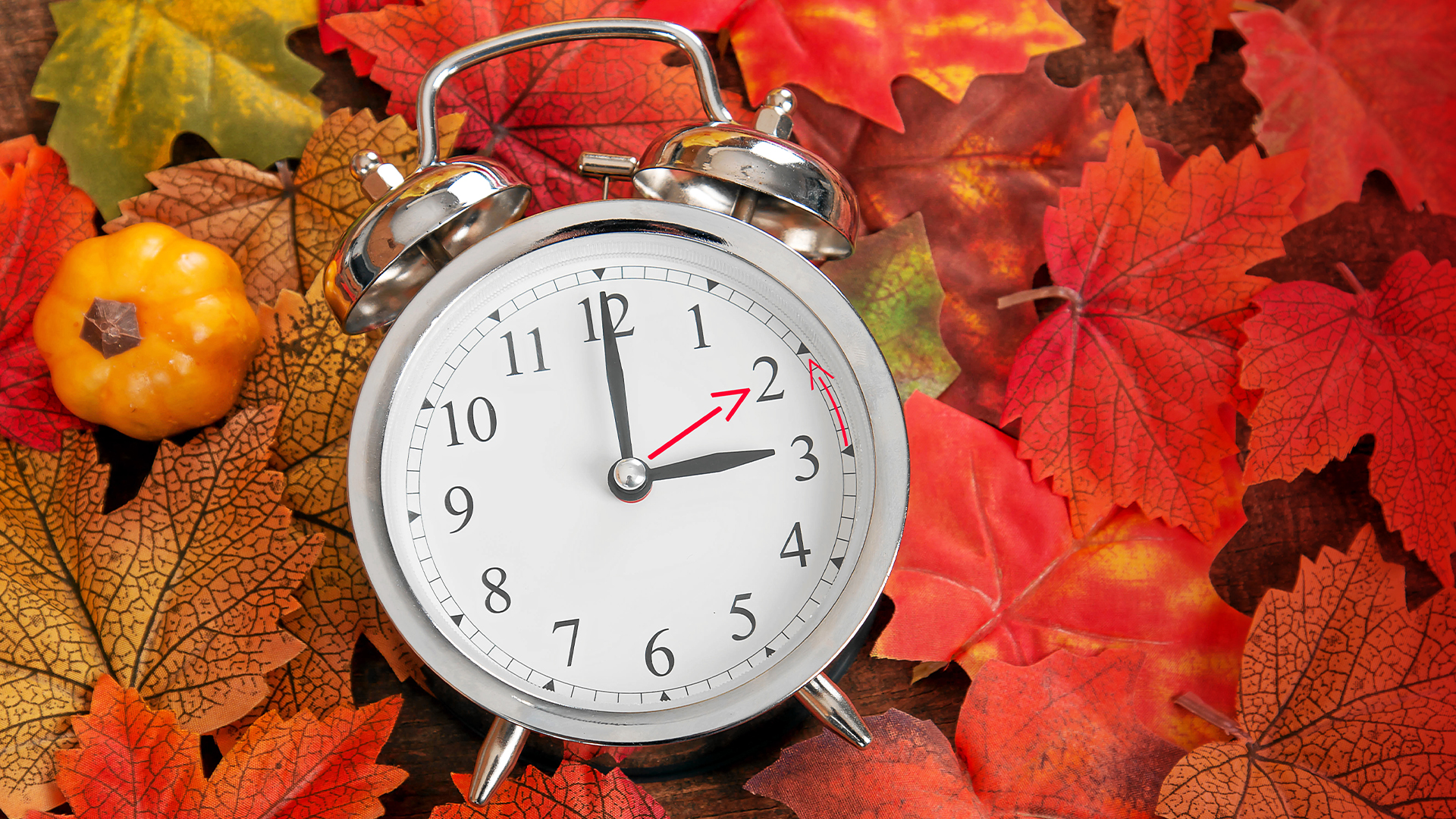 Herbst, Wecker, Zeitumstellung, Sommerzeit, Winterzeit, DayLighSaving