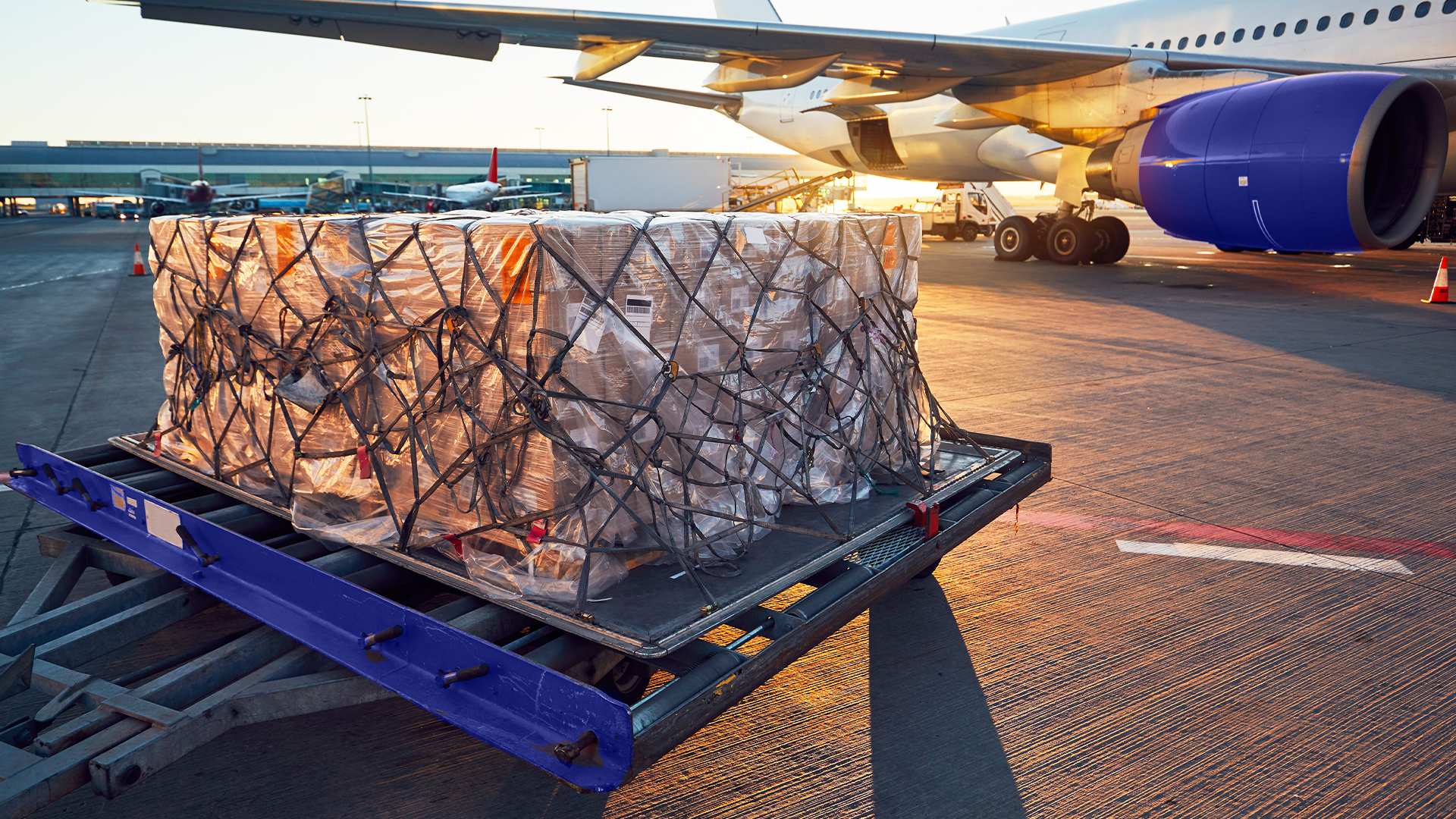 Transport, Luftfahrt, Flughafen, Flugzeuge, Flugverkehr, Luftfahrzeuge, Fliegerei, Gepäck, Fracht, Cargo, Beladung, Palette