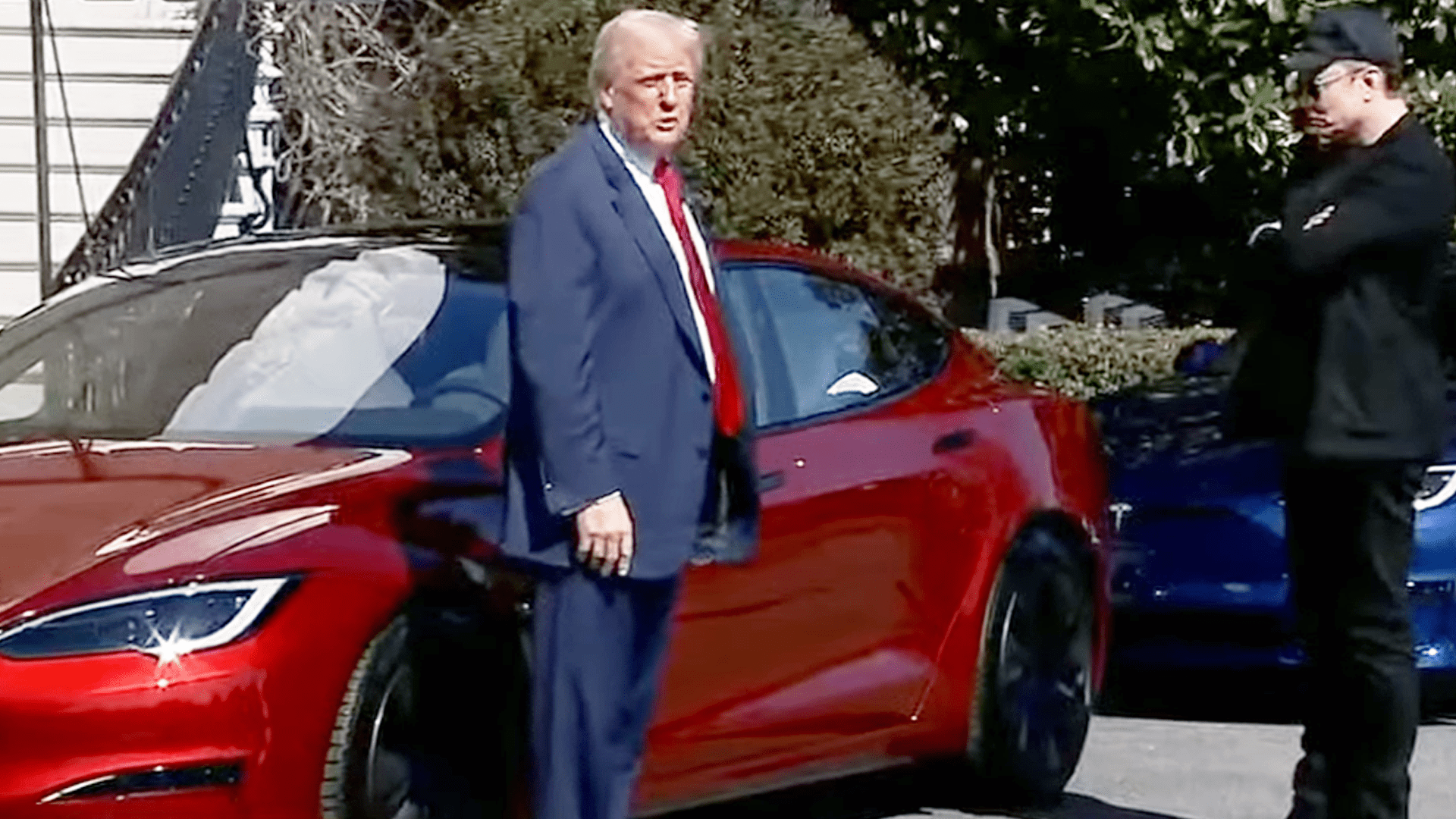 tesla, Elon Musk, Donald Trump, Musk, Weißes Haus, Autoverkäufer