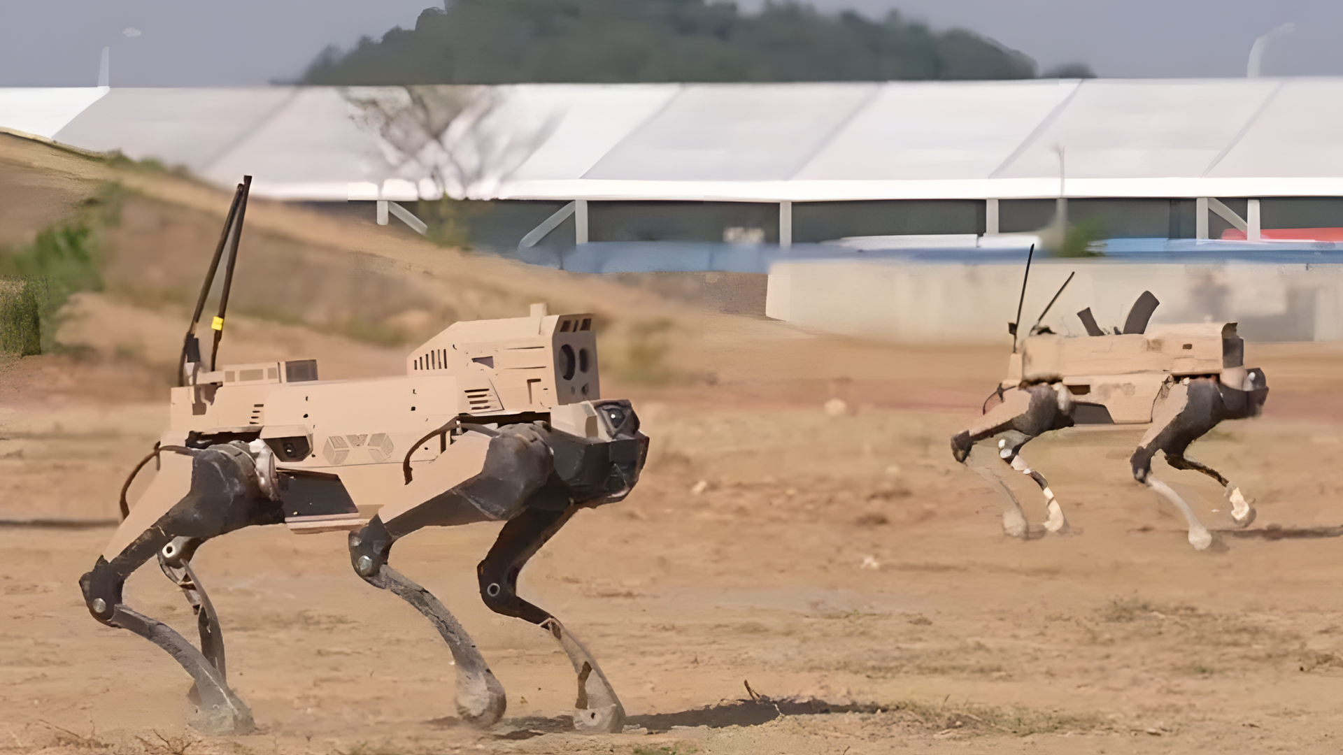 China, Technologie, Roboter, Militär, Volksbefreiungsarmee, Roboterwölfe