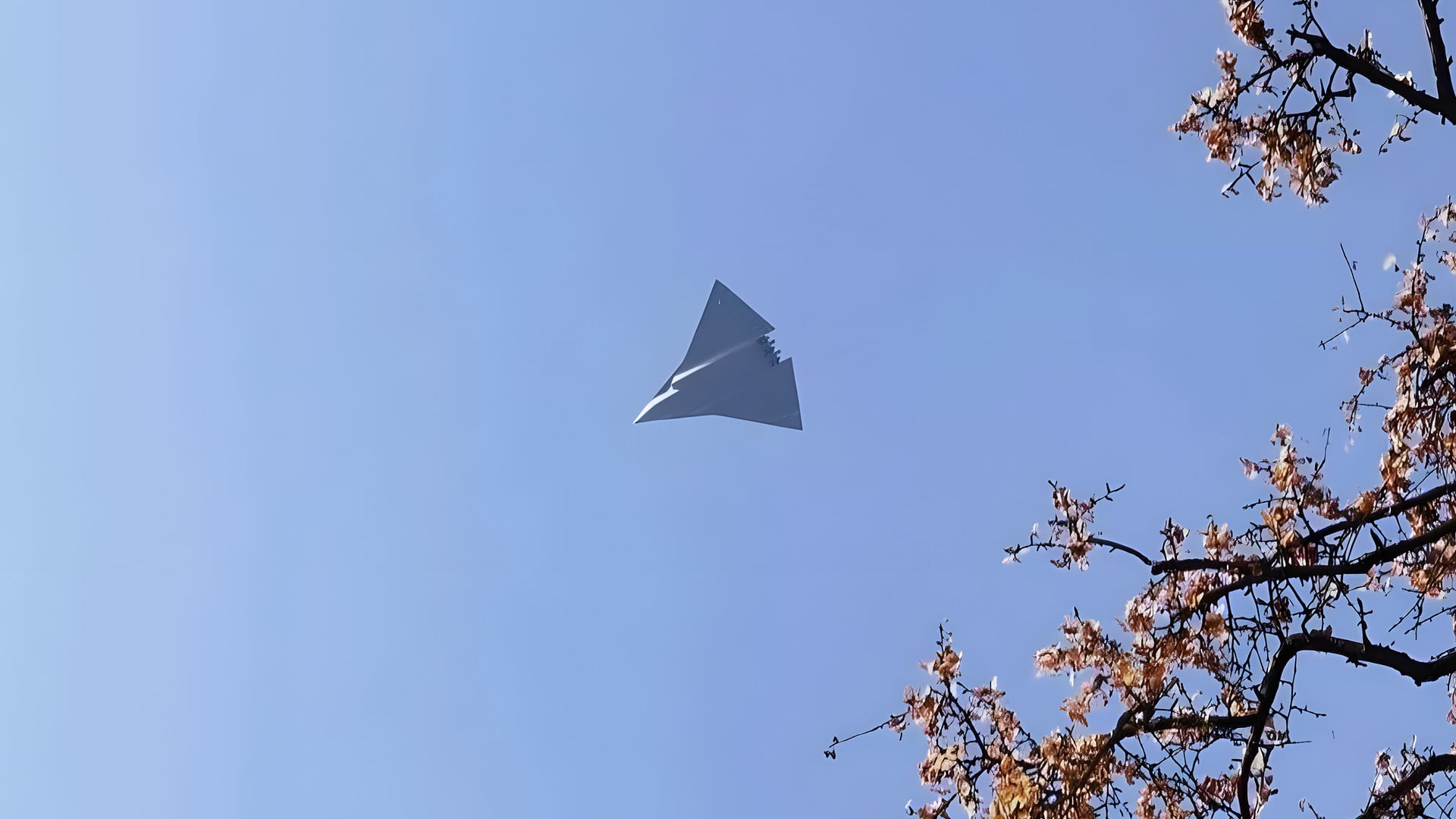 Flugzeug, Stealth, Jet, J-36, Papierflieger, Stealthjet