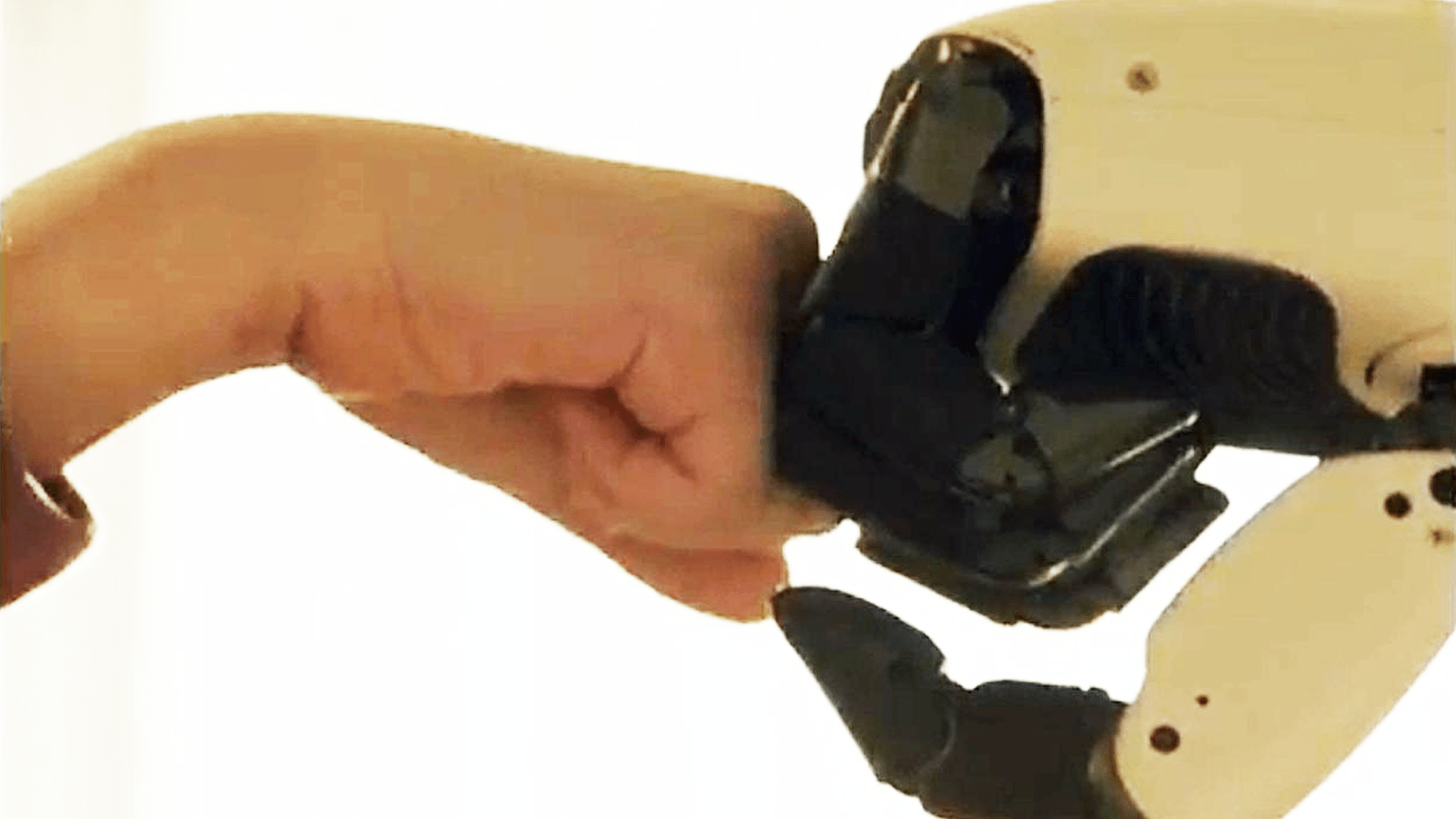 LG, Roboter, Haushalt, Haushaltsroboter, CLOiD, LG CLOiD