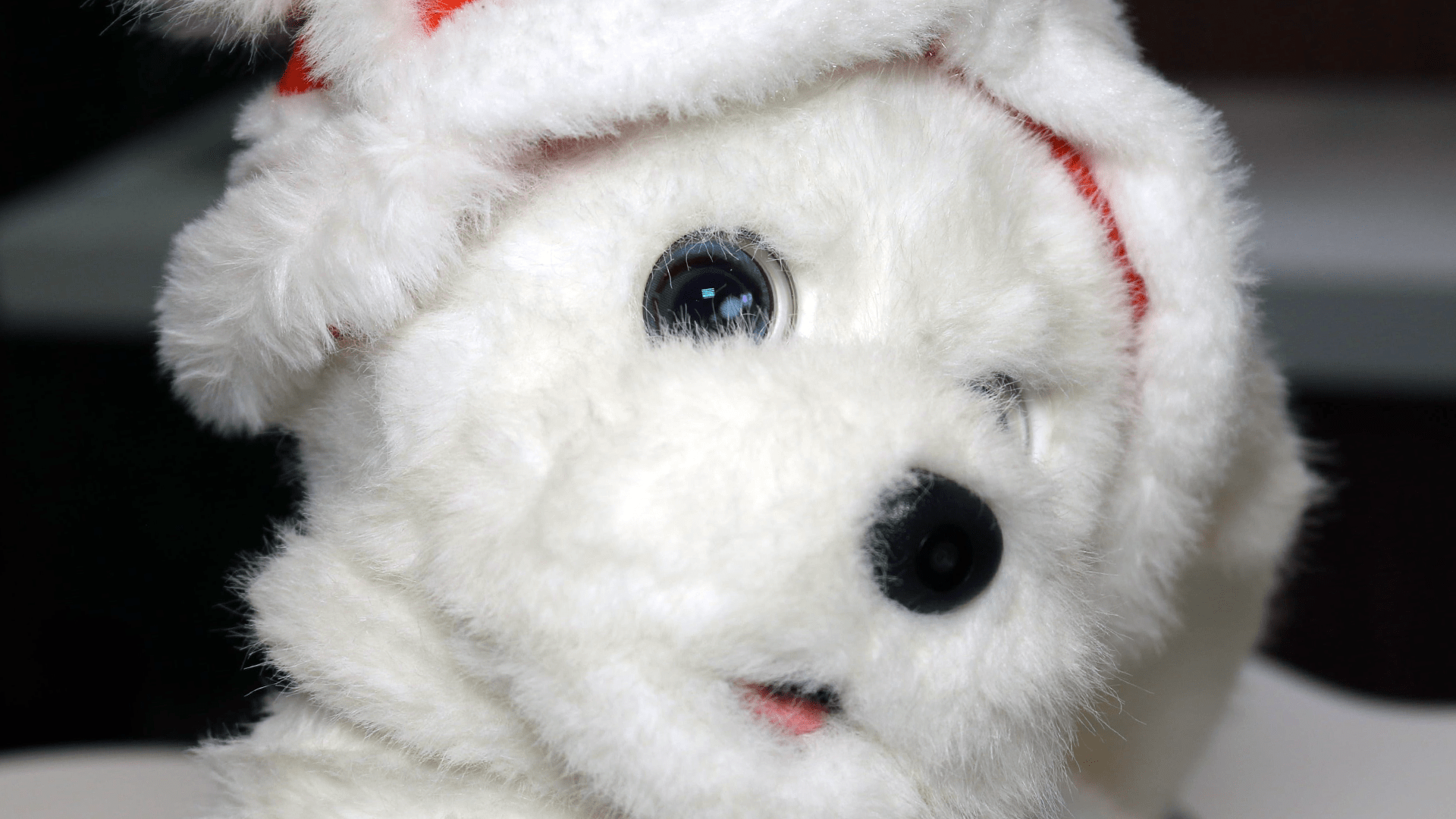 Roboter, Ecovacs, Hund, Roboterhund, LilMilo, Kuscheltier