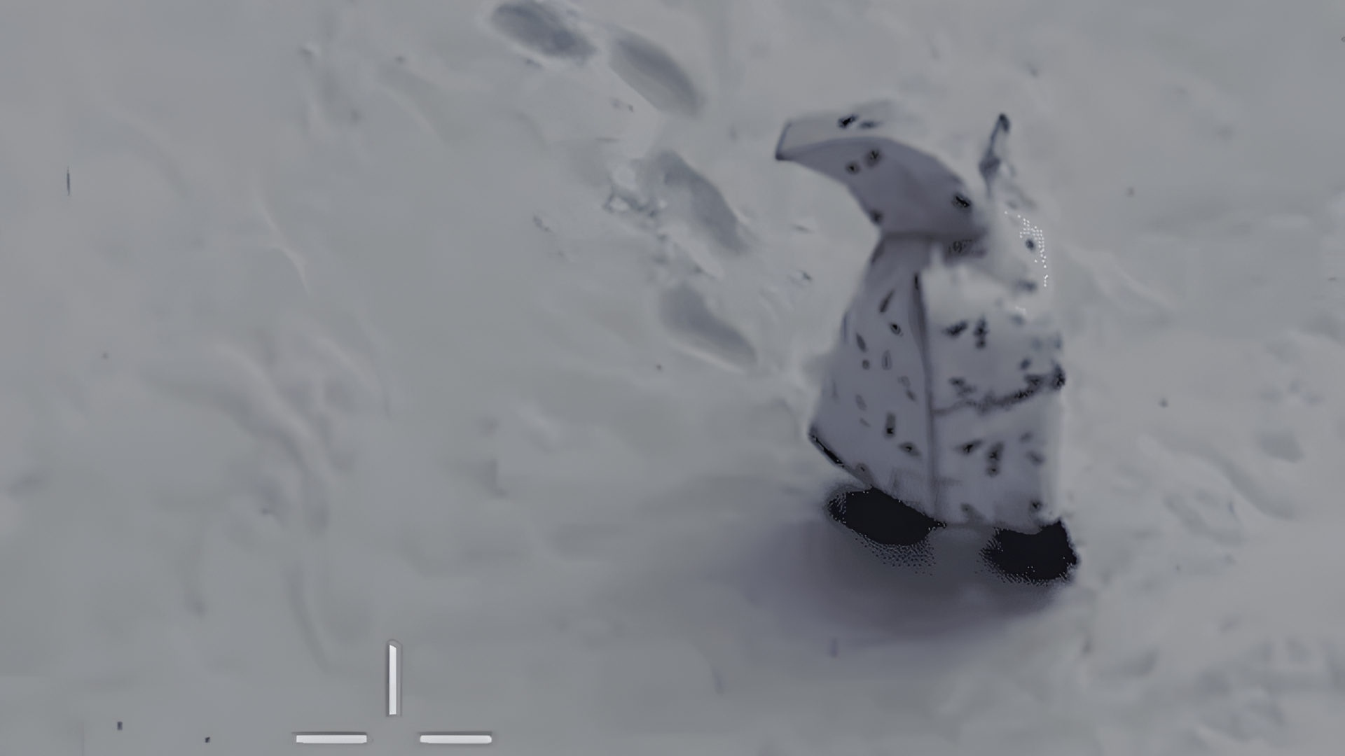 Russland, Krieg, Ukraine-Krieg, Anzug, Pinguin, Tarnung