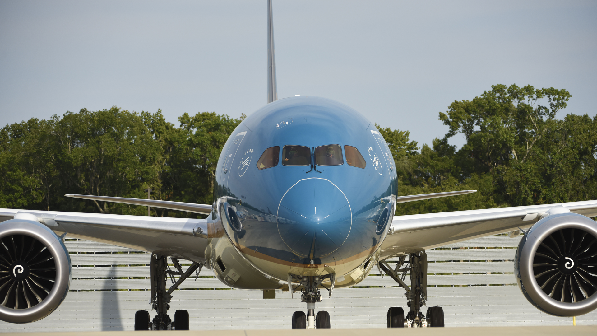Flugzeug, Boeing, Jet, Airline, Fluglinie, Boeing 787, Vietnam Airlines, Boeing 787-10