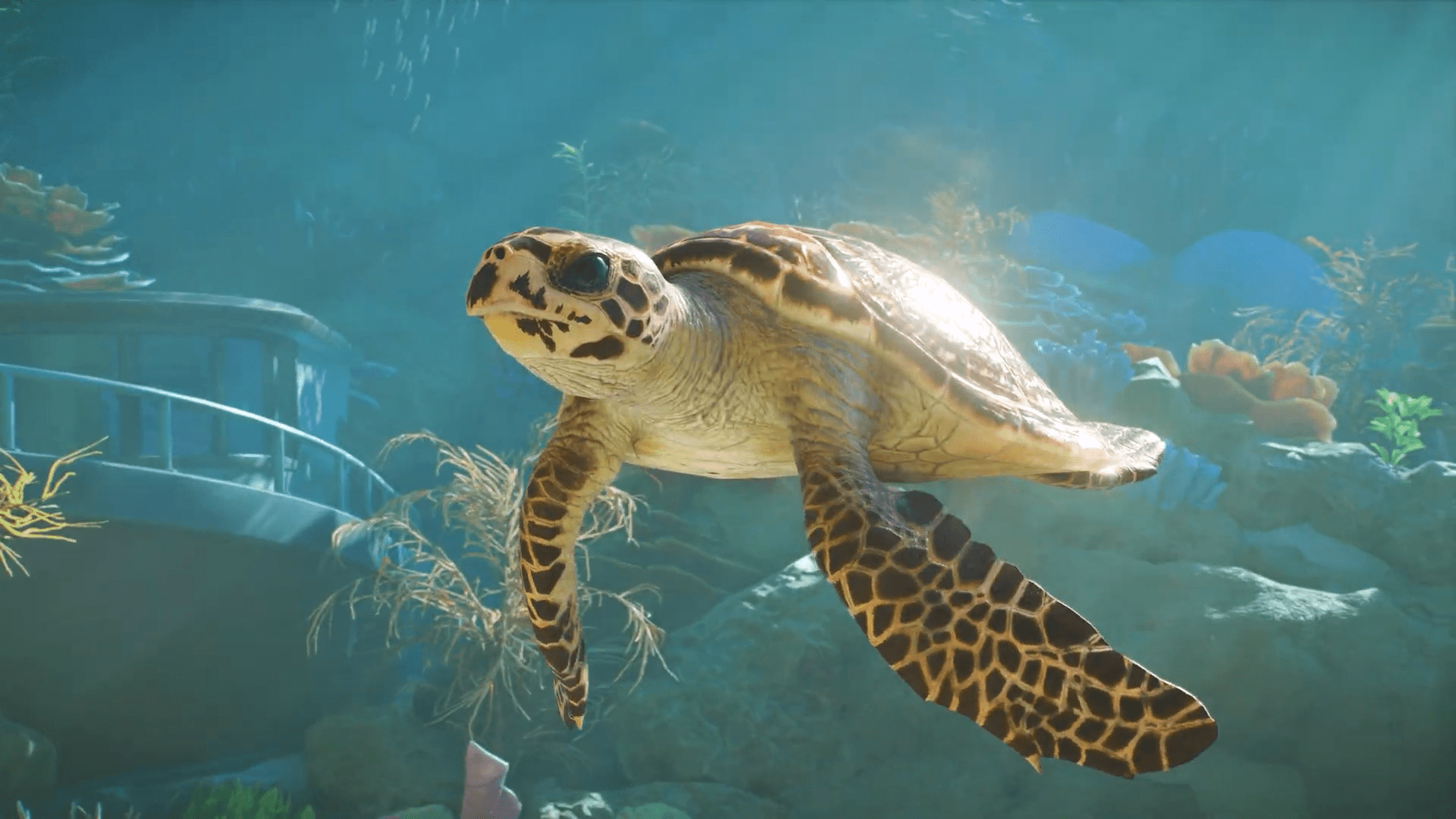 Trailer, Simulation, Frontier Developments, tiere, Planet Zoo, Zoo, Planet Zoo 2