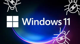 Fehler, Bug, Error, Bugs bugs bugs, Windows 11 Fehler, Windows 11 Bugs Bugs Bugs, Windows 11 Troubleshoot, Windows 11 Bug