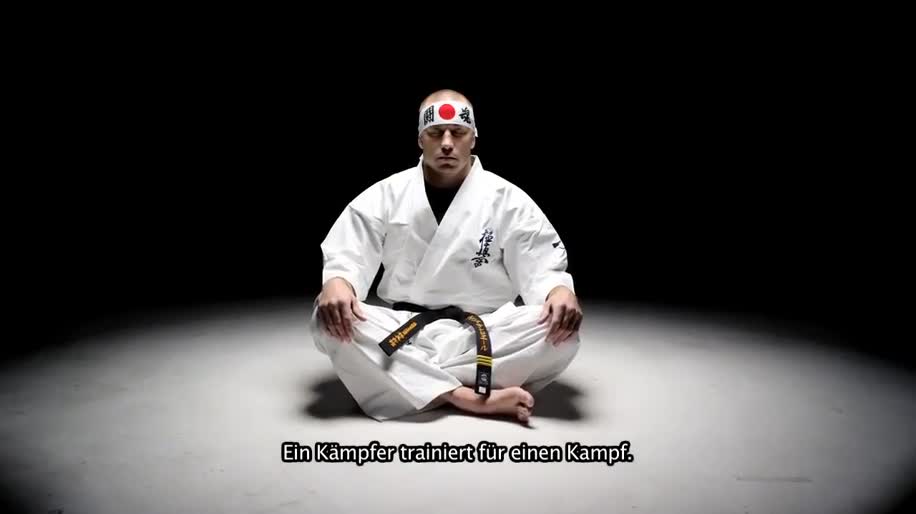 Sleeping Dogs GSP Master Fighter