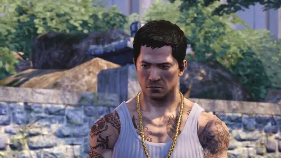 Sleeping Dogs Triad Honor