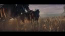 Werbespot, Super Bowl, Super Bowl 2019, Budweiser
