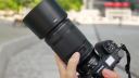 Nikon Z MC 105 mm f/2.8 VR S: Makro-Objektiv fast ohne Schw�chen